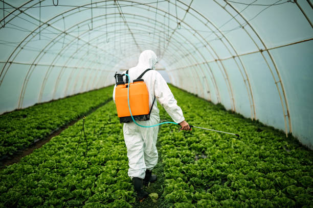 Best Mosquito Control Services  in Jennerstown, PA