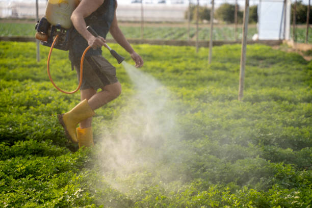 Best Pest Removal Services  in Jennerstown, PA